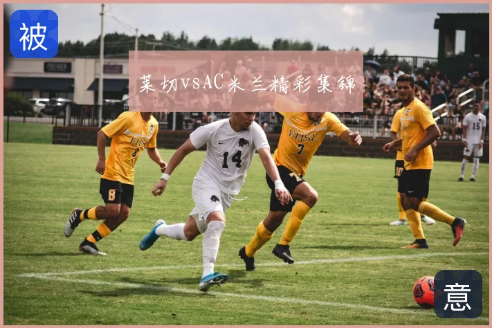 莱切vsAC米兰精彩集锦