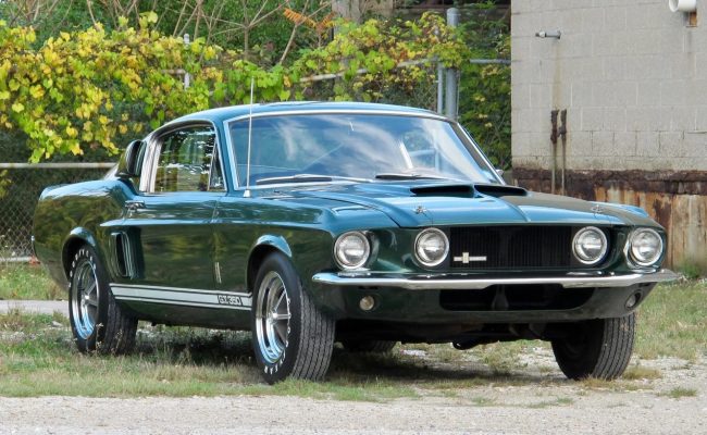 Survivor Shelby Mustang