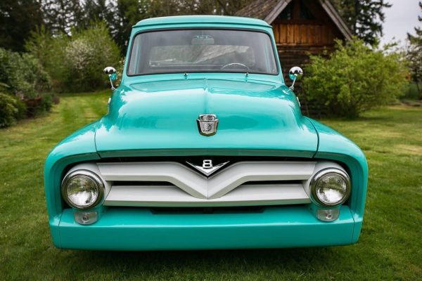 1955 Ford F100 with a Ford 302 Engine