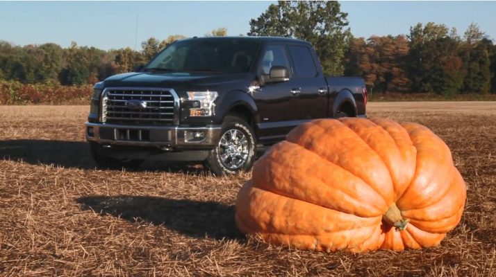 Ford F150 Hauling a 1,200 Pound Giant Pumpkin